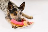 PLAY donut