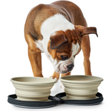 Silicone travel bowl with case "Hunter Travel Bowl List with Bag"
