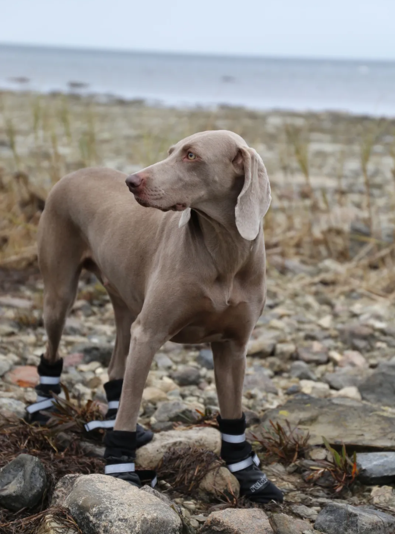 Dog boots "Rukka Thermal"