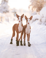Dog boots "Rukka Thermal"