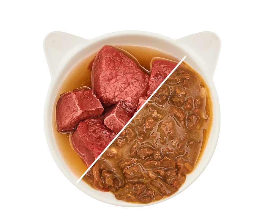Wow Cat wet food for adult cats with beef in gravy