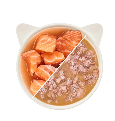 Wow Cat wet food for adult cats with salmon in sauce
