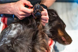 Protective balm for pet paws "Non-stop Dogwear Paw Care"
