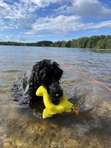 Rukka Pets Duck Floating Toy for dogs