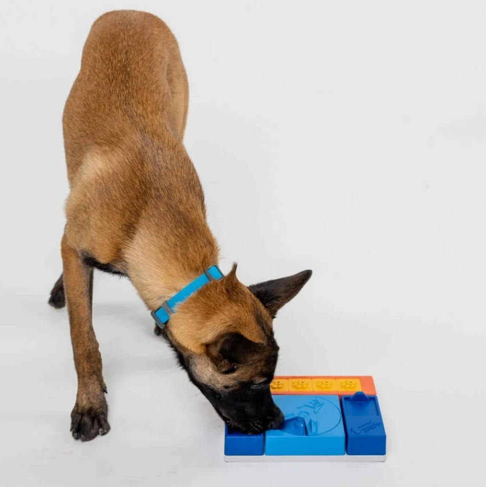 Pawzler Rainbow Set Puzzle for Dogs