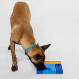 Pawzler Rainbow Set Puzzle for Dogs