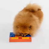 Pawzler Rainbow Set Puzzle for Dogs