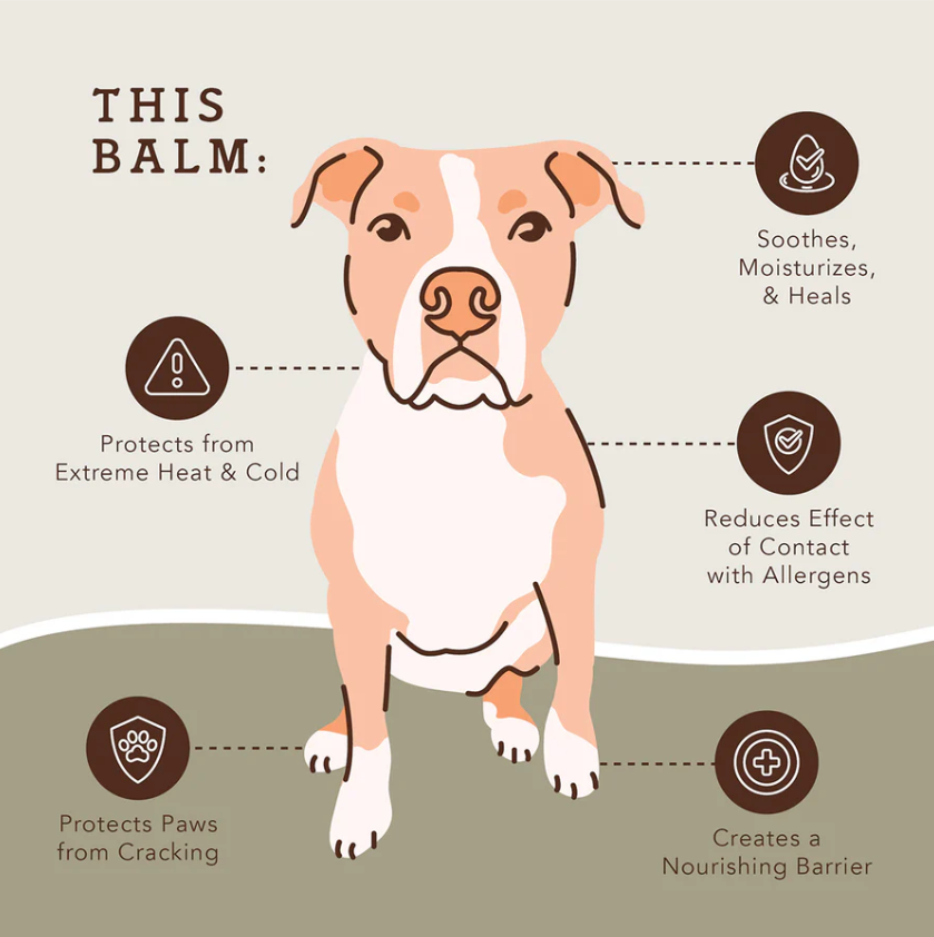 Natural Dog Company Pawtection Paw Protection Balm