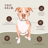 Natural Dog Company Pawtection Paw Protection Balm