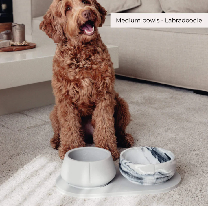 Bowl for long-eared dogs "Pino"