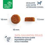 Marly & Dan  Adult Large Breed dry dog food