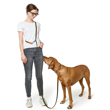 Leash "Hunter BioThane x Leather"