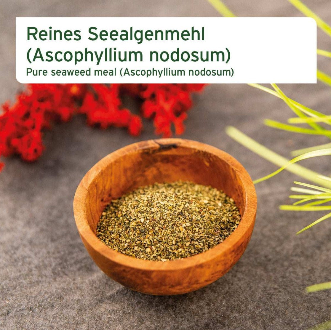 Food supplement for dogs - seaweed mixture "Aniforte Seaweed Powder"