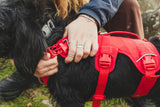 Ruffwear Web Master suspenders