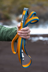 Ruffwear Roamer Leash