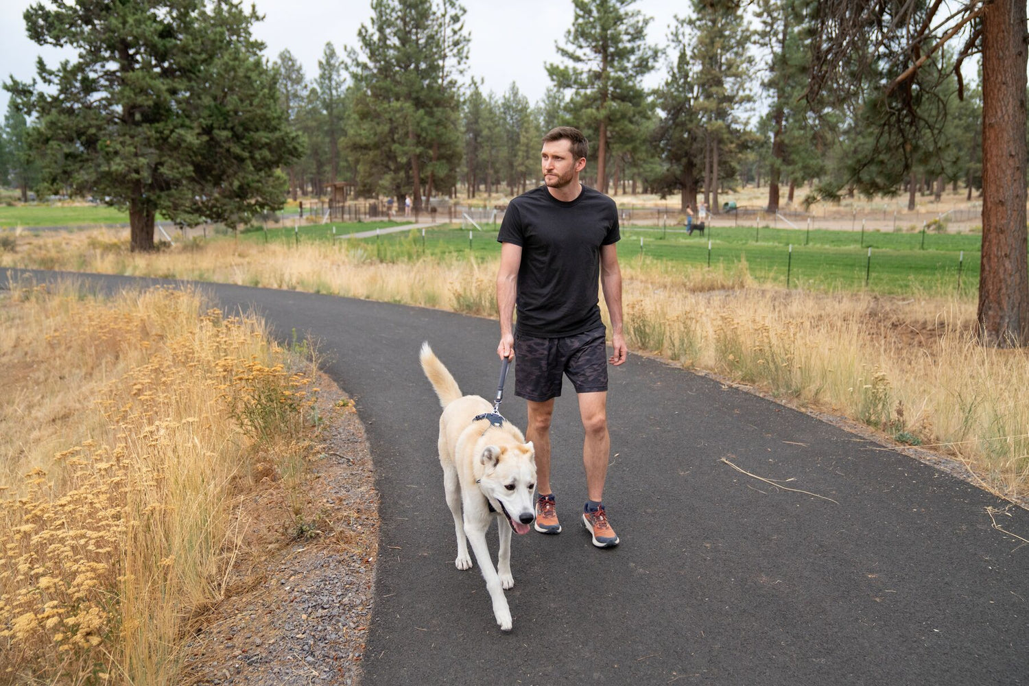 Ruffwear Front Range Short Leash
