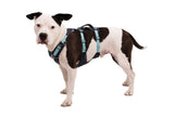 Ruffwear Flagline suspenders