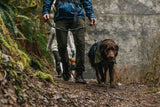 Raincoat "Ruffwear Sun Shower"