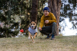Ruffwear Gnawt-a-Cone