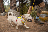 Ruffwear Hi &amp; Light Braces
