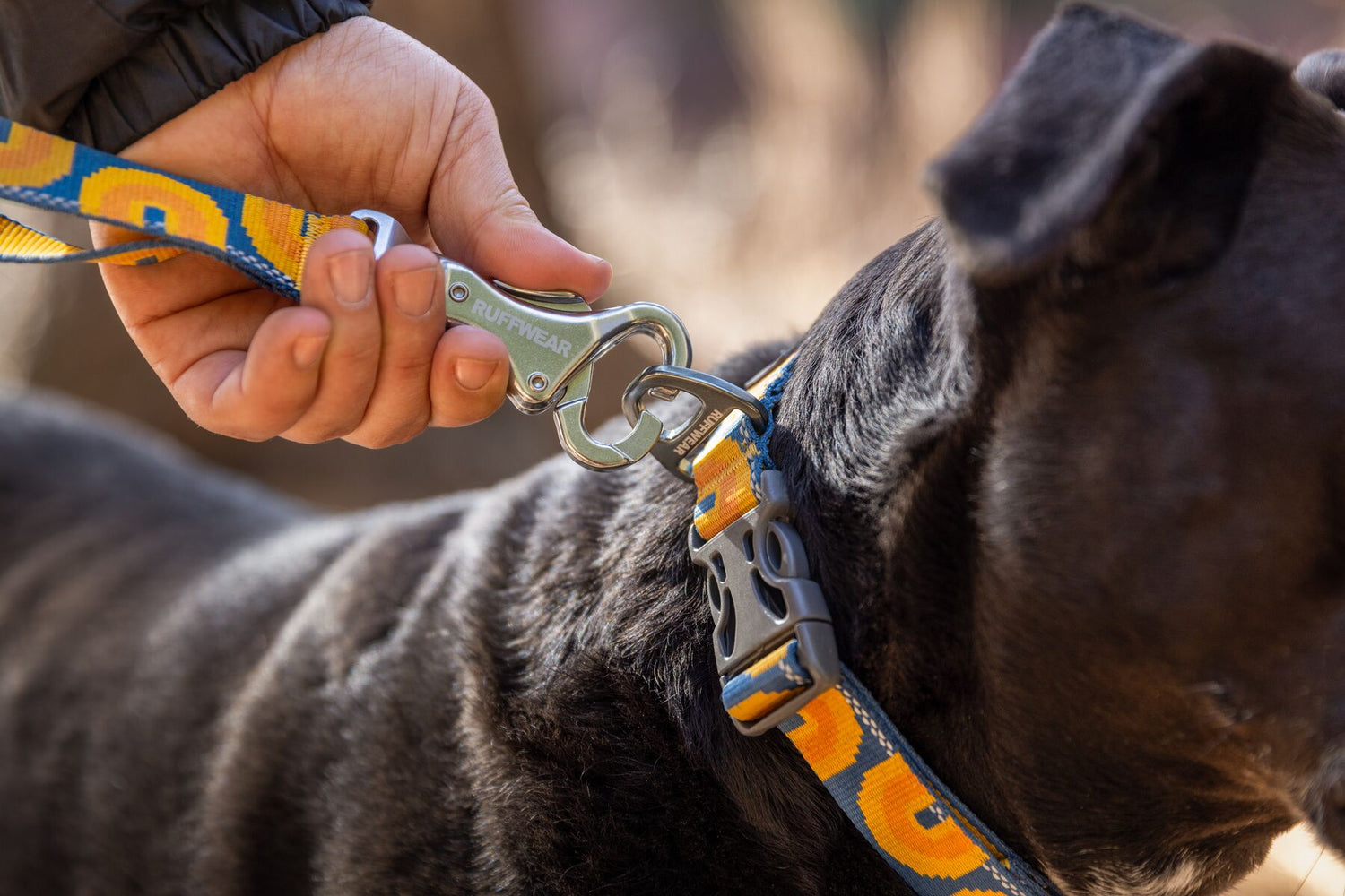 Leash "Ruffwear Crag"