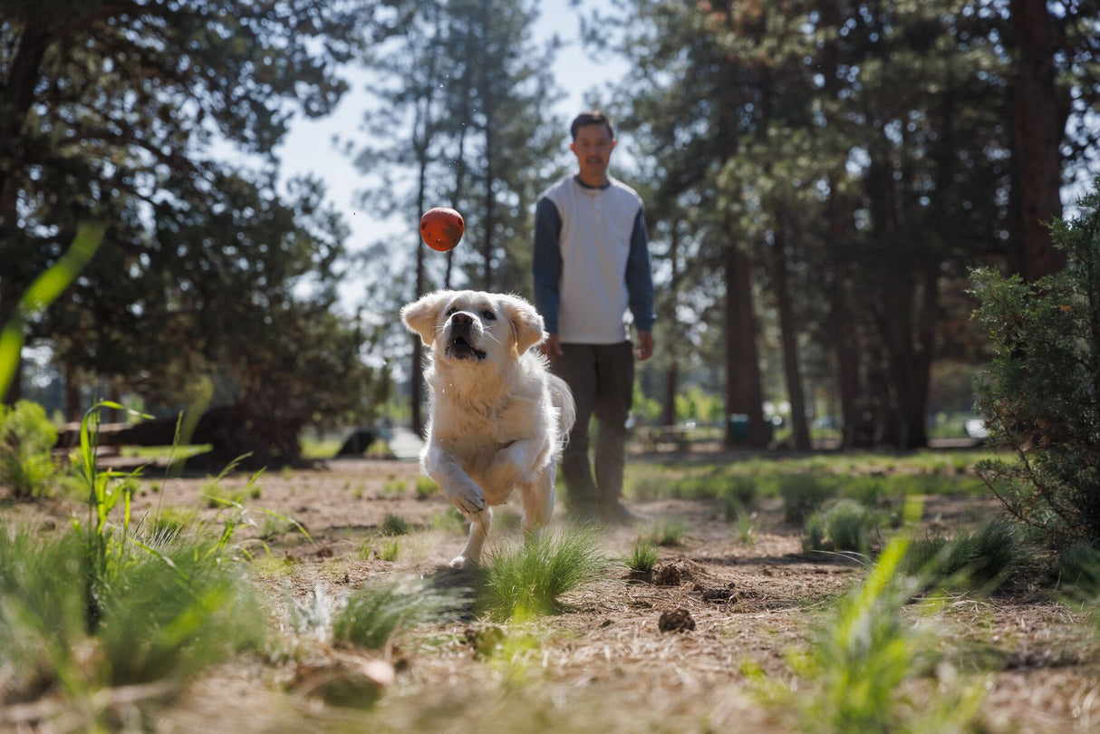 Ruffwear Huckama toy