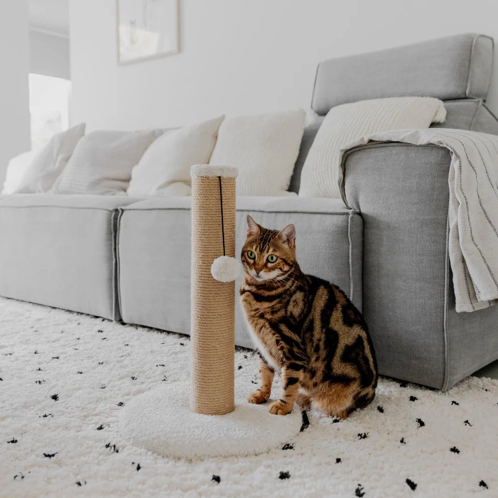Scratching Post District 70 Donna