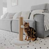 Scratching Post District 70 Donna