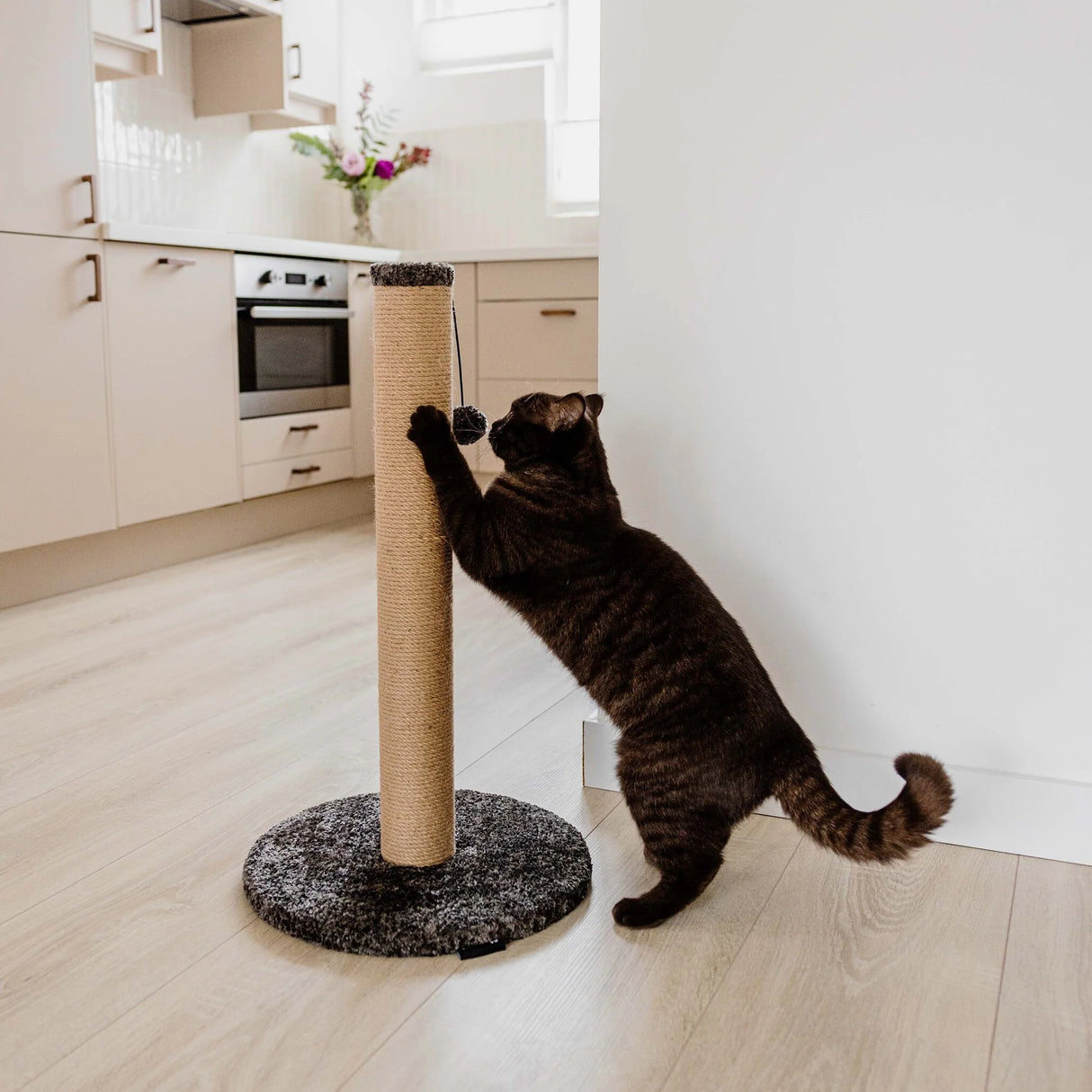 Scratching Post District 70 Donna