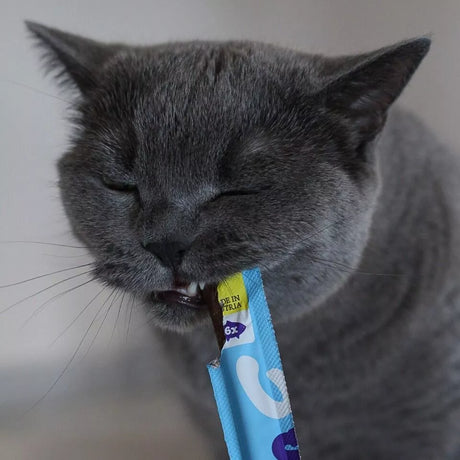 Wow Cat Soft Sticks cat treat soft sticks with salmon