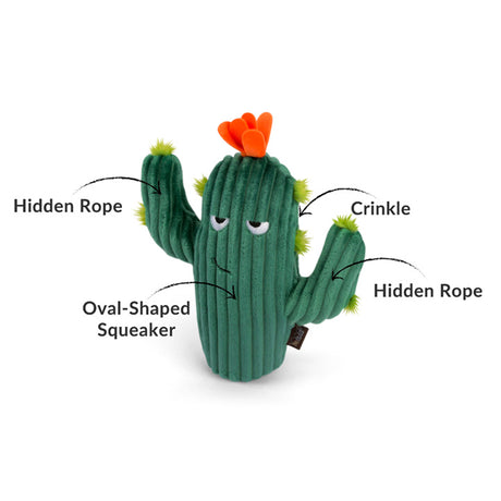 PLAY cactus "Prickly Pup Cactus"