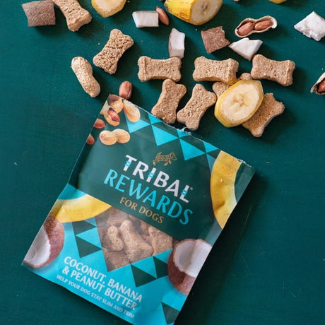 Tribal Rewards Dog Biscuits with Coconut, Banana, and Peanut Butter