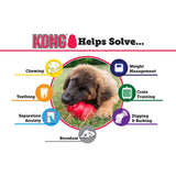 KONG Classic toy