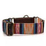 Moose Wears Desertia Collar