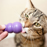 Toy "KONG Kitty KONG"