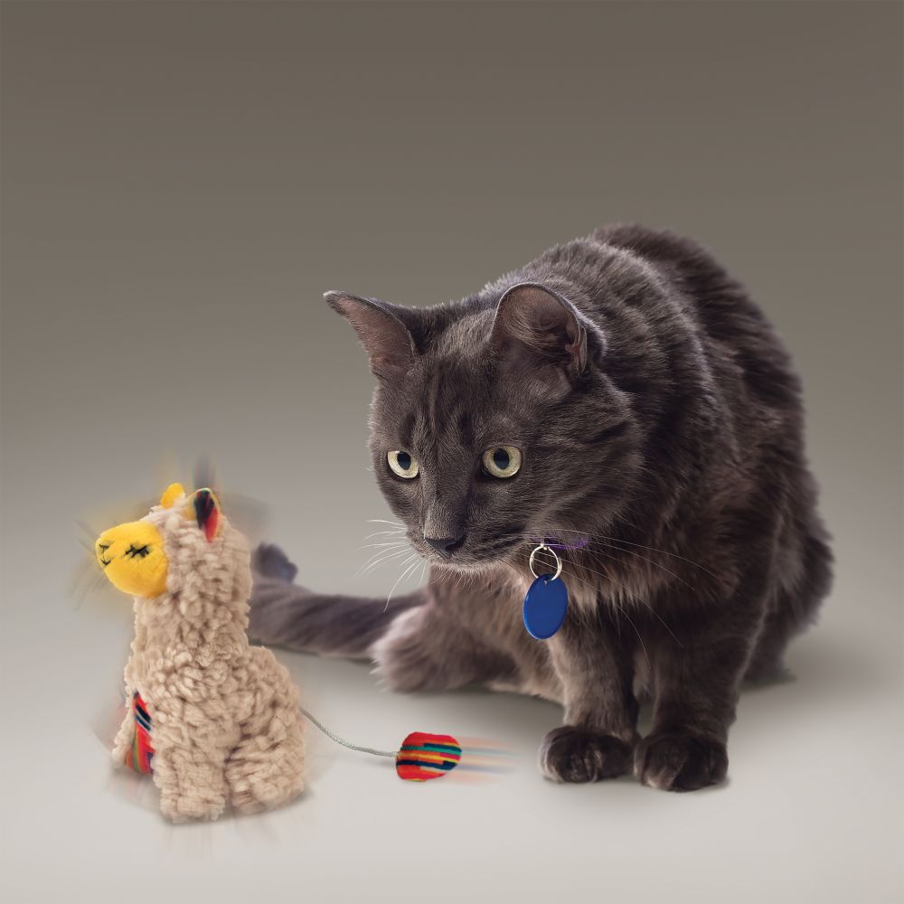 Toy "KONG Softies Buzzy Llama"