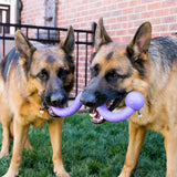 KONG Ogee Stick Toy