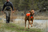 Bright reflective vest "Ruffwear Track Jacket"
