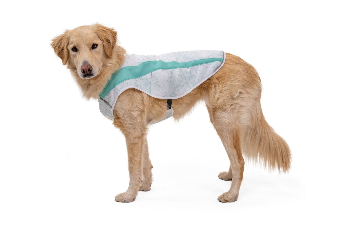 Cooling vest for dogs "Ruffwear Swamp Cooler"