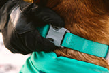 Collar "Ruffwear Confluence Waterproof"