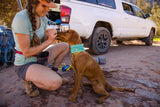 Cooling neck gaiter for dogs "Ruffwear Swamp Cooler"