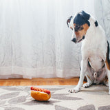 PLAY hot dog