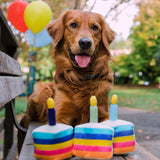 PLAY birthday cake