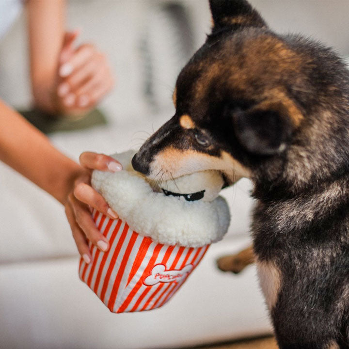 PLAY popcorn