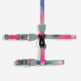 Harness with leash "Zee.Cat Bliss"